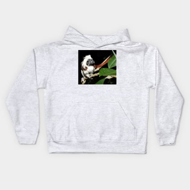 Cotton-top Tamarin Kids Hoodie by kirstybush